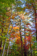 Magnificent autumn landscapes in the Canadian countryside in the province of Quebec