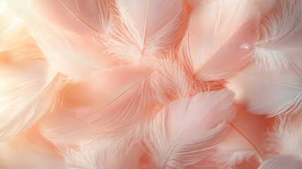 Feathers background with beige colors blend and aesthetic soft style. Fragile and sensitive...