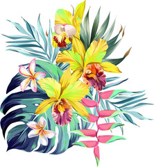 Bouquet of tropical flowers. Summer bouquet of flowers. Camellia, rose, hibiscus, orchid, plumeria, paradise flowers. Exotic, tropical