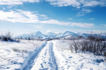 Obraz premium winter landscape with snow covered tree