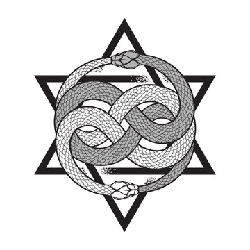Double ouroboros or uroboros serpent snakes consuming in front of the six-pointed hexagram star . Tattoo, poster or print design vector illustration
