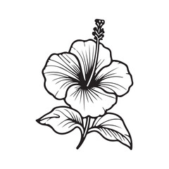 line art of hibiscus, Hibiscus flower black color illustration .Hibiscus Flower. Vector illustration
