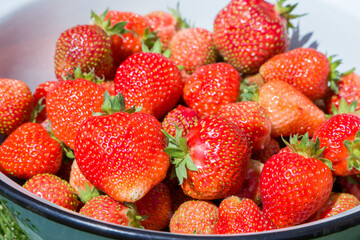 Strawberries in a bowl, close-up, selective focus