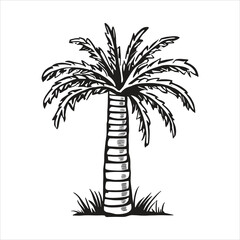 Obraz premium Tropical Paradise Palm Tree Silhouette