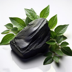  A smooth, dark, textured piece of shilajit elegantly nestled among vibrant green leaves on a white background, epitomizing its natural origin and beneficial properties.