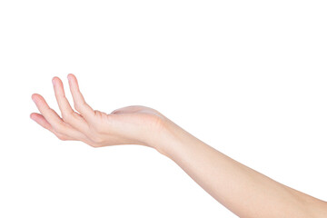 Hand holding, presenting something isolated on white background