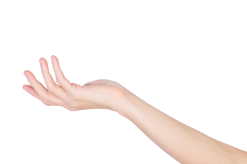 Hand holding, presenting something isolated on white background