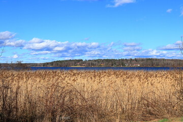 Landscape view at a field. Lake M&auml;laren. Skokloster, Sweden. 2024