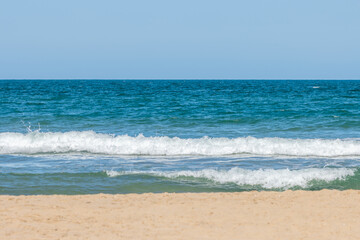 Serene Beach Scene with Clear Blue Skies and Calm Ocean Background
