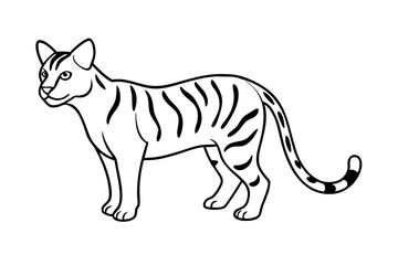 Fototapeta premium Beautiful Vector Illustration Showcasing Ocelot in Stealthy Low Stalking Pose 