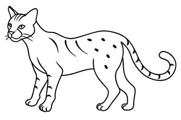 Ocelot in Low Stalking Position Ready to Pounce Vector Illustration
