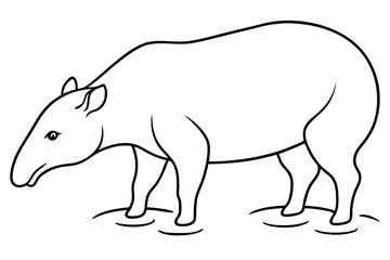 Tapir Serenity in Shallow Rainforest Stream Vector Illustration
