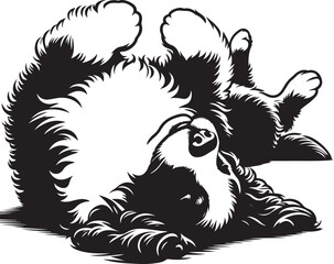 Obraz premium Bernedoodle Dog different poses silhouette vector design