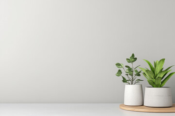 Empty wooden table counter background mockup design for product presentation. Bright wood top desk tabletop and two potted plants near white wall background