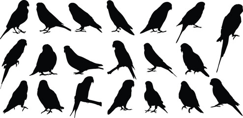 set of silhouette birds