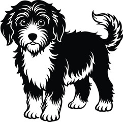 Bernedoodle Dog  different poses silhouette vector design