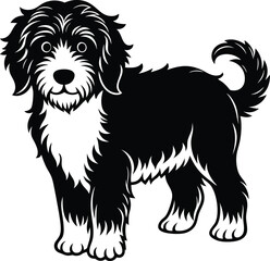 Bernedoodle Dog  different poses silhouette vector design