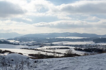Nature under the snow during winter. Slovakia