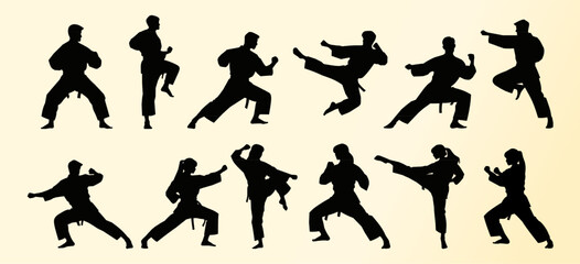 A series of martial arts silhouettes depicting various karate poses, including high kicks, punches, and defensive stances. The figures highlight balance, agility, and strength.