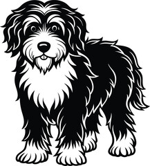 Bernedoodle Dog  different poses silhouette vector design