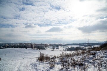 Nature under the snow during winter. Slovakia