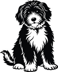 Bernedoodle Dog  different poses silhouette vector design