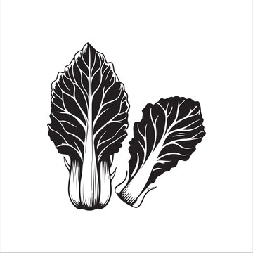 black and white bok choy leaves clip art preview