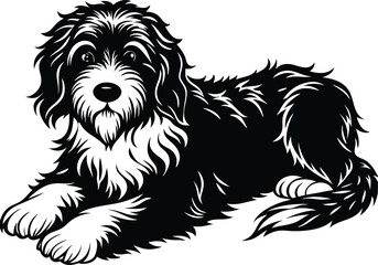 Bernedoodle Dog  different poses silhouette vector design