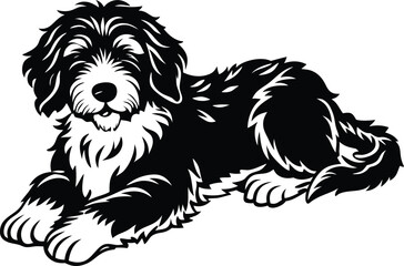 Bernedoodle Dog  different poses silhouette vector design