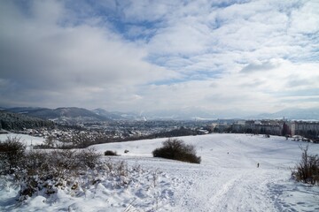 Nature under the snow during winter. Slovakia