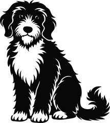 Fototapeta premium Bernedoodle Dog different poses silhouette vector design