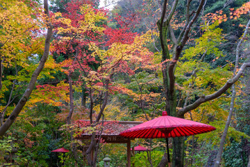 一条恵観山荘　紅葉の小径（神奈川県鎌倉市）