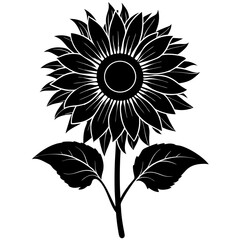 Fototapeta premium sunflower isolated on white background