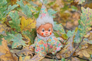 one little colorful clown toy sitting on a branch of an oak tree with green leaves in summer nature