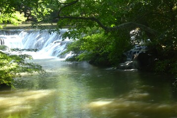 Muak Lek Arboretum-Muak Lek Waterfall relaxing place travel location on Thailand