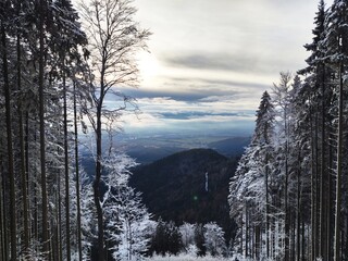 Nature under the snow during winter. Slovakia
