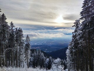 Nature under the snow during winter. Slovakia