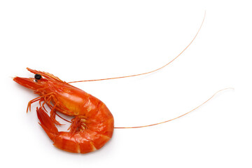 boiled wild giant tiger prawn