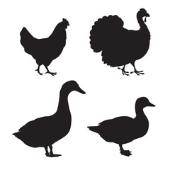 Collection of a black silhouettes of a domestic farm birds - chicken, turkey, goose, duck. Illustration on transparent background