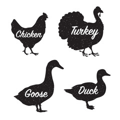 Collection of black silhouettes of domestic farm birds with captions - chicken, turkey, goose, duck. Vector illustration on white background