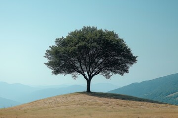 Obraz premium A solitary tree on a hilltop overlooking distant mountains during a clear day