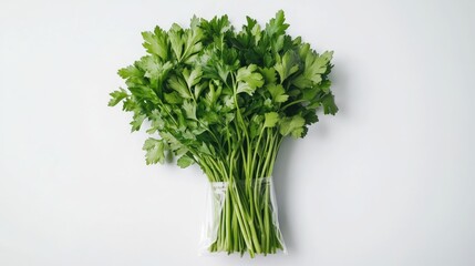 Fototapeta premium A bundle of parsley in resealable plastic packaging, labeled and displayed on a bright white background, highlighting its freshness and vibrant color.