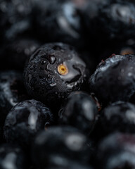 blackberries