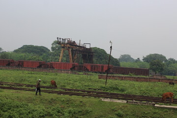 Fototapeta premium train in the countryside