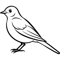 Obraz premium bird on a branch a white background