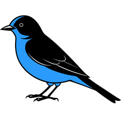 blue bird on a branch silhouette on white background