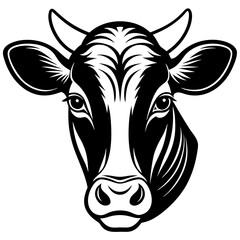black and white cow