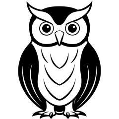 owl on white background