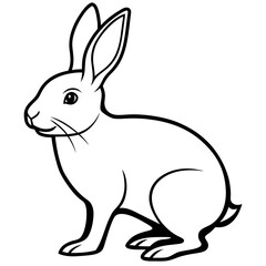 illustration of a rabbit