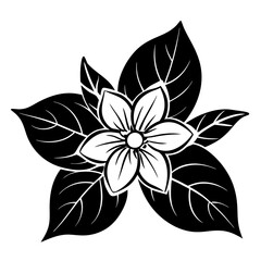 Fototapeta premium black and white flower isolated
